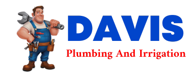 Trusted plumber in THEDFORD